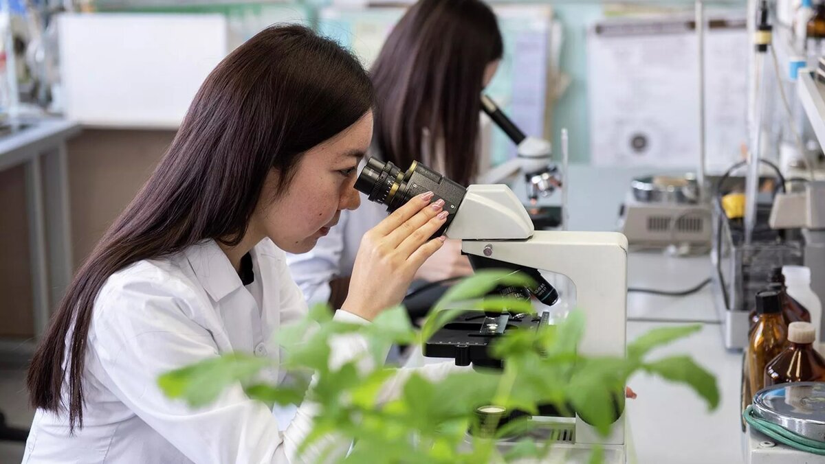 В лаборатории ЖенПУ ученые исследуют лекарственные свойства растений, архивное фото / © Sputnik