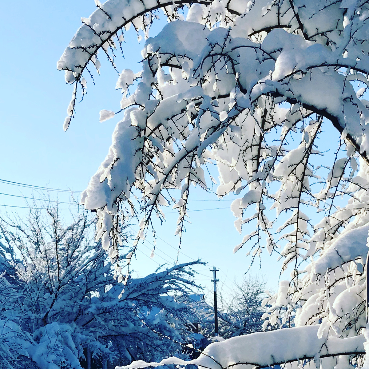 После снегопада