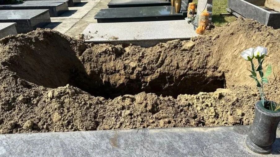    Фото: Laszlo66/Shutterstock/Fotodom