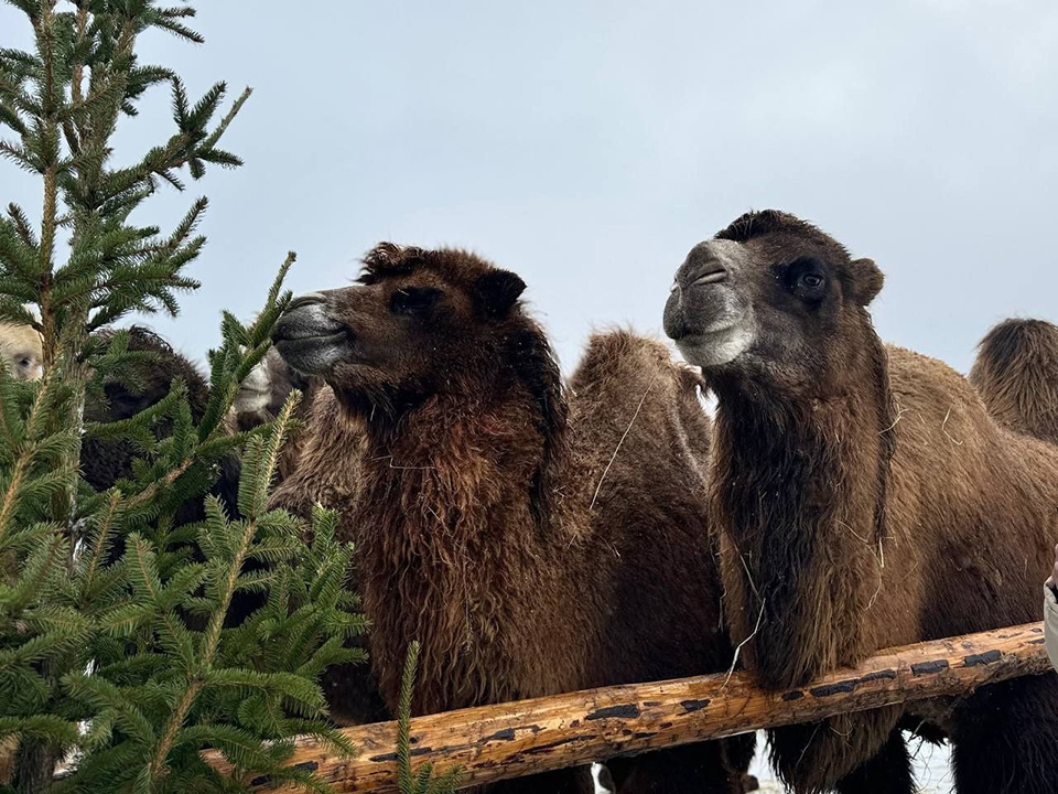    Фото: Медиасток.рф