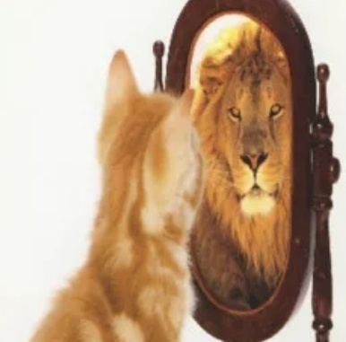 Фото из интернета