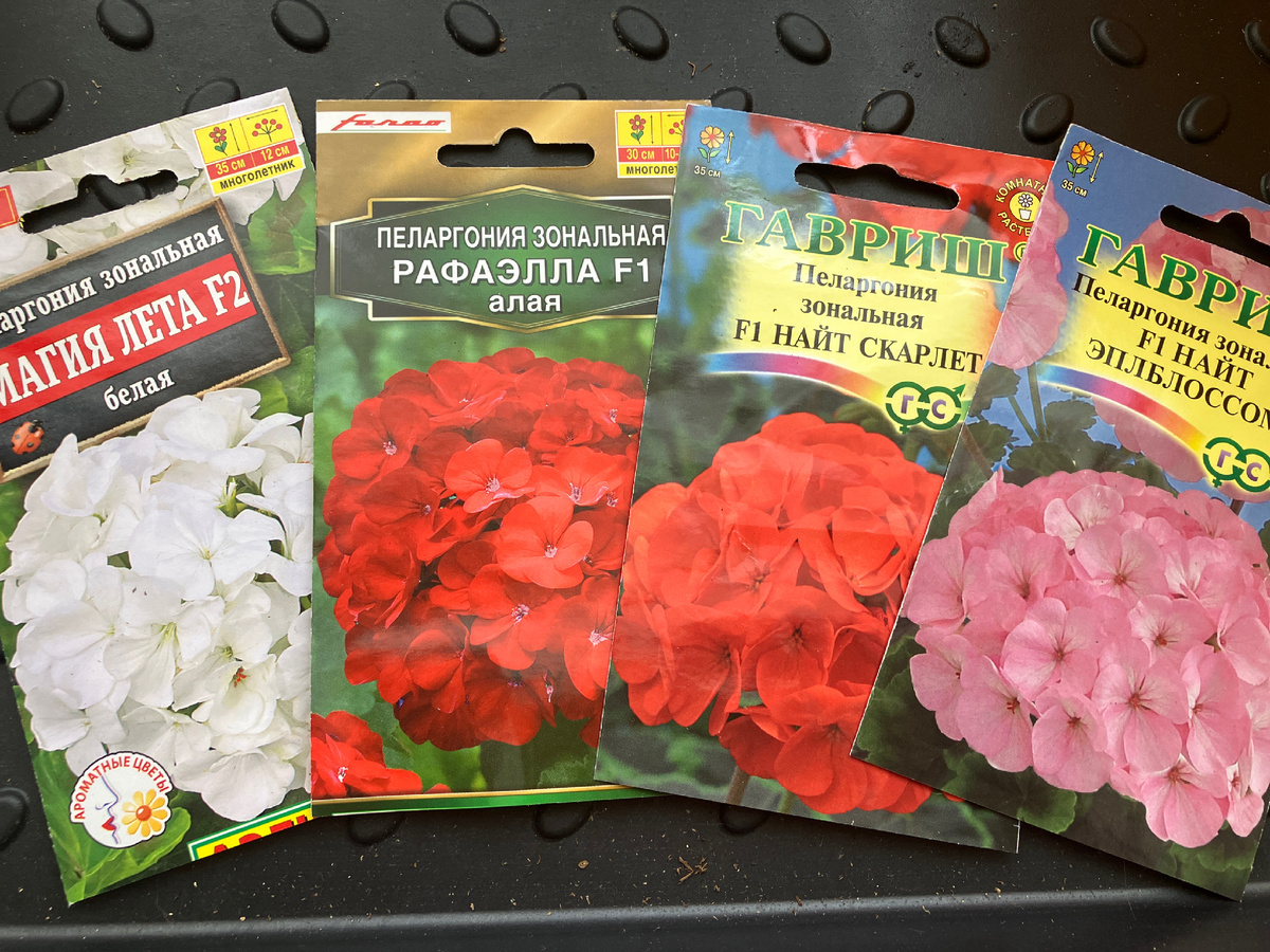 Выбранные сорта. Фото автора