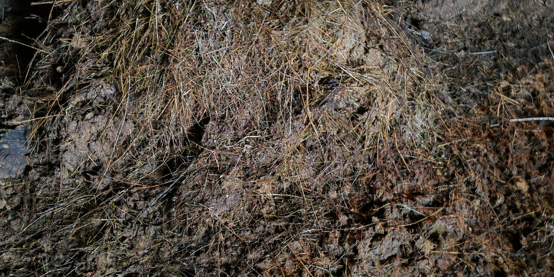 Почему умирает деревня?