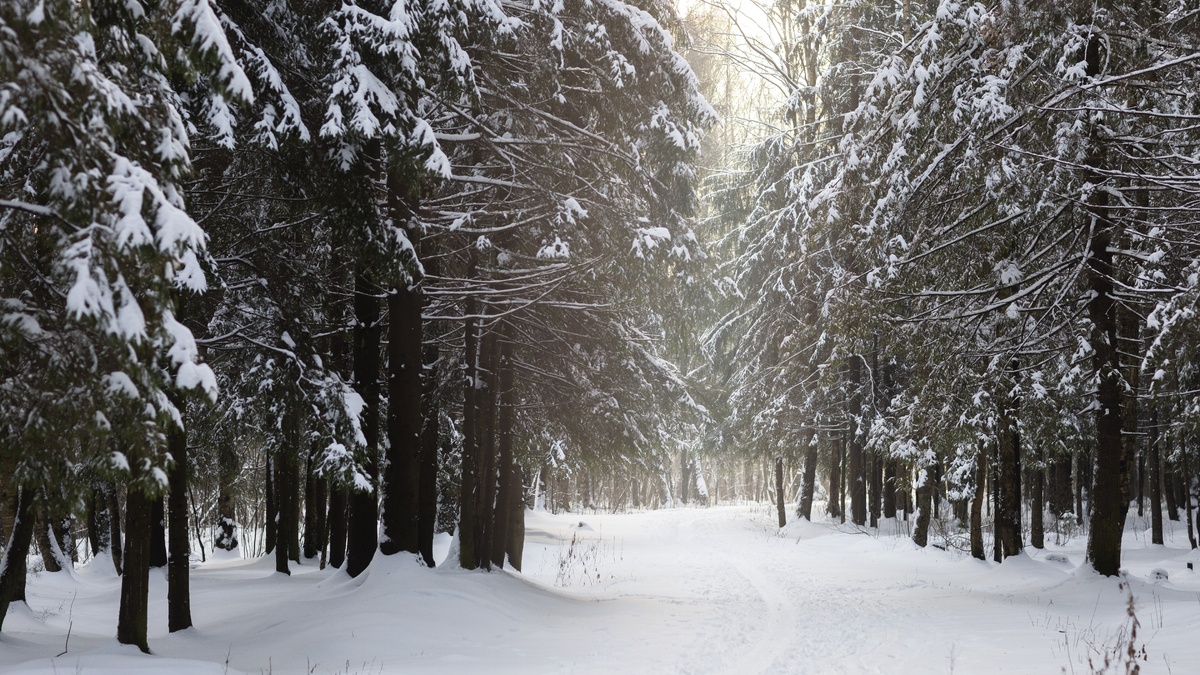    Сильный снегопад ожидают на юге Югры