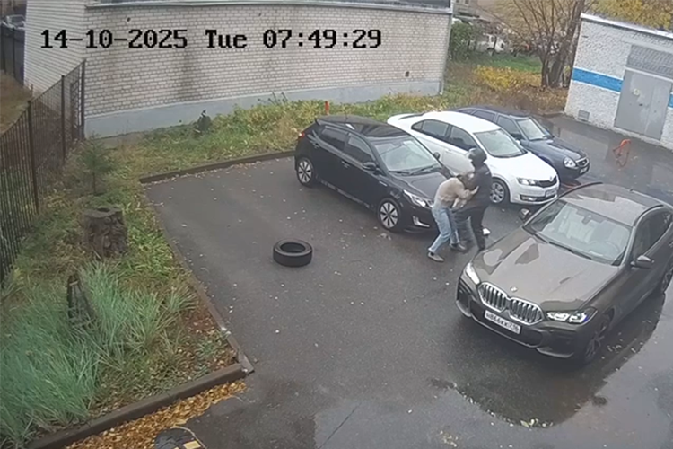 Голосовать!Дело Шевыревых
