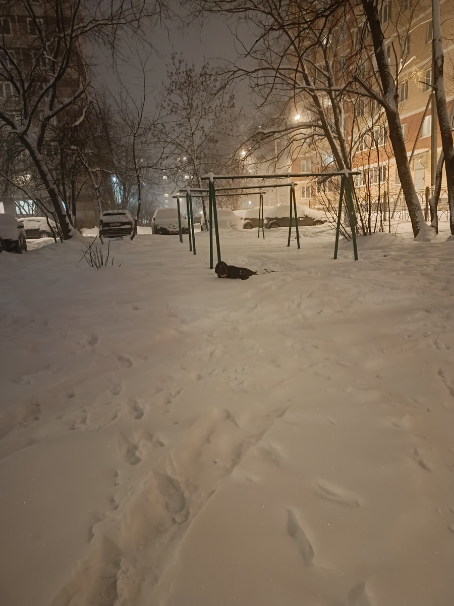 Это ещё вчера 😁