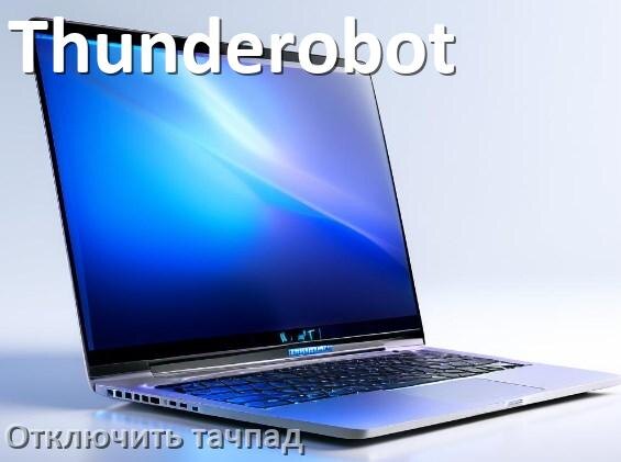 
Как отключить тачпад ноутбука Thunderobot на Windows 10 и 11