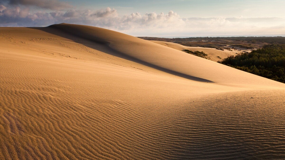 Песчаные дюны Куршской косы