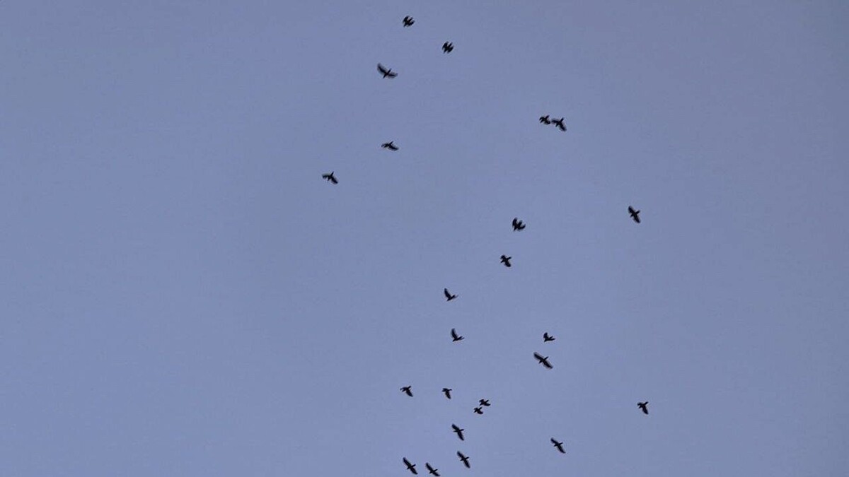    Фото: телеканал «Краснодар»