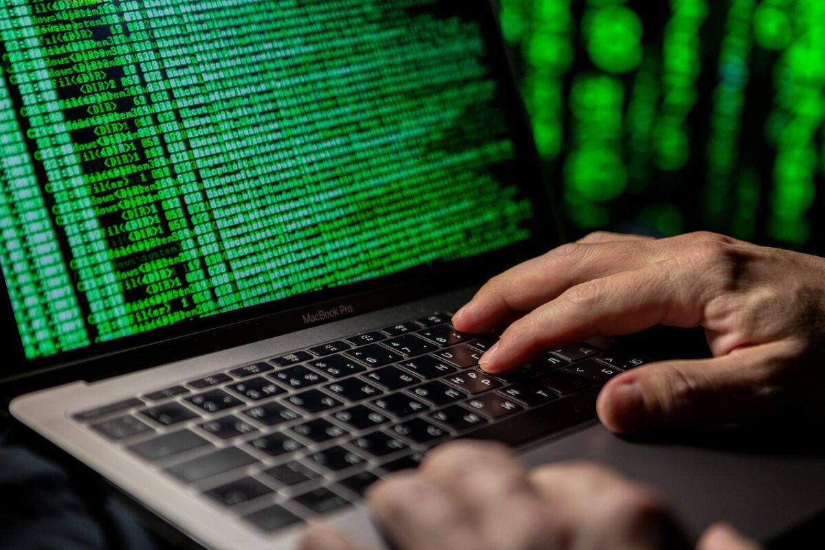 Фото: Олег Золото / «Петербургский дневник»