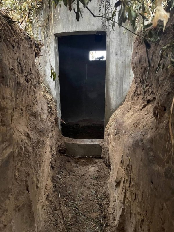     © фото - администрация Курской области