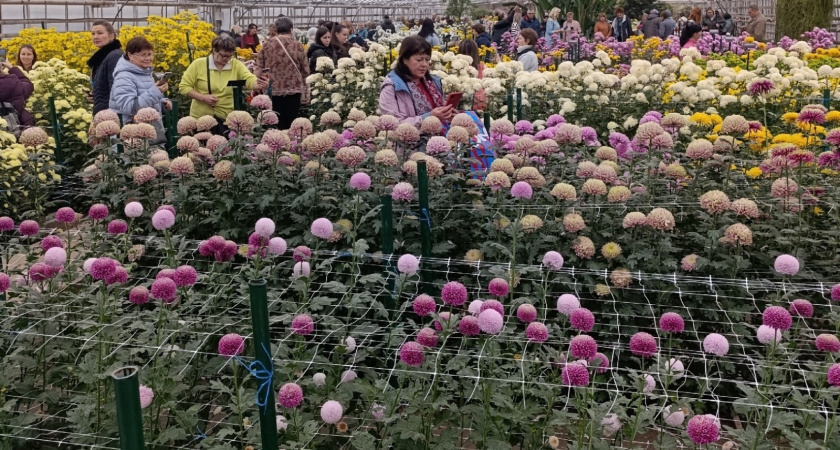    Фото: Правительство Волгоградской области