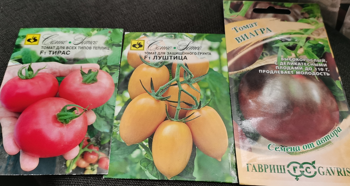 Планирую выращивать по 2 куста. 