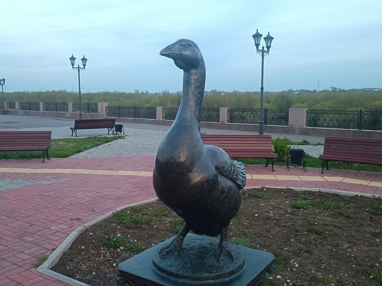     Шадринский гусь. Фото: Николай Курилов / МК-Урал.