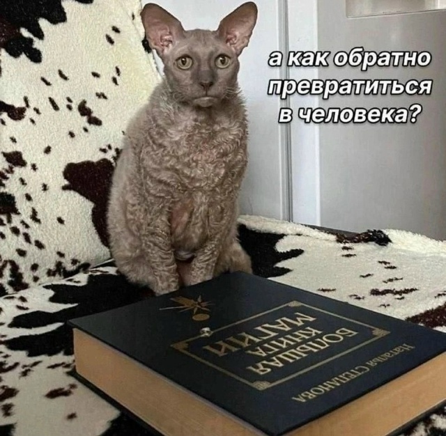 Смех из социальных сетей! Забавные шутки, забавные случаи и веселые рассказы. Фото взято из общедоступных ресурсов соцсетей.