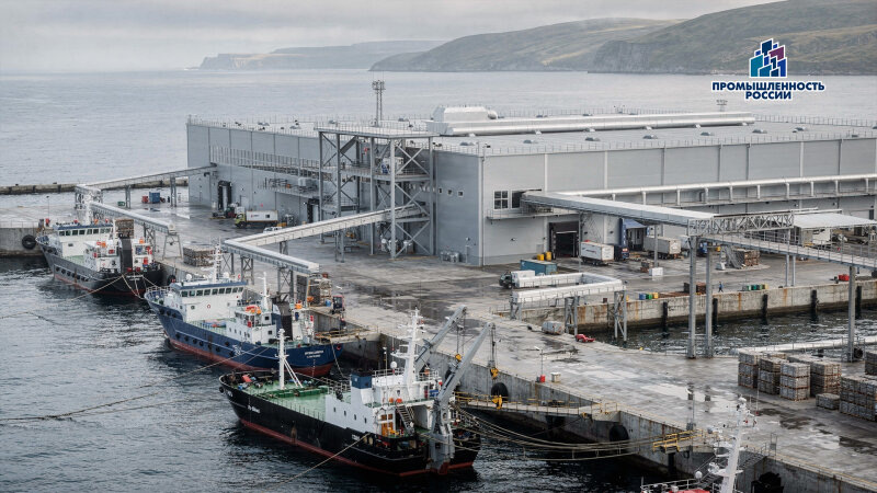    Создано в дизайн-студии "АСП"