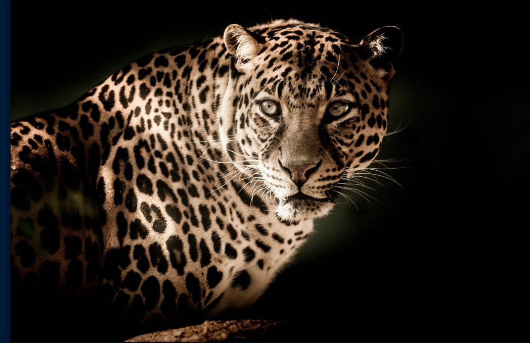 Случайность — это удобная лазейка для нашего мозга. Но плата за неё слишком высока. Вот как начать видеть то, что мир пытается вам сказать.