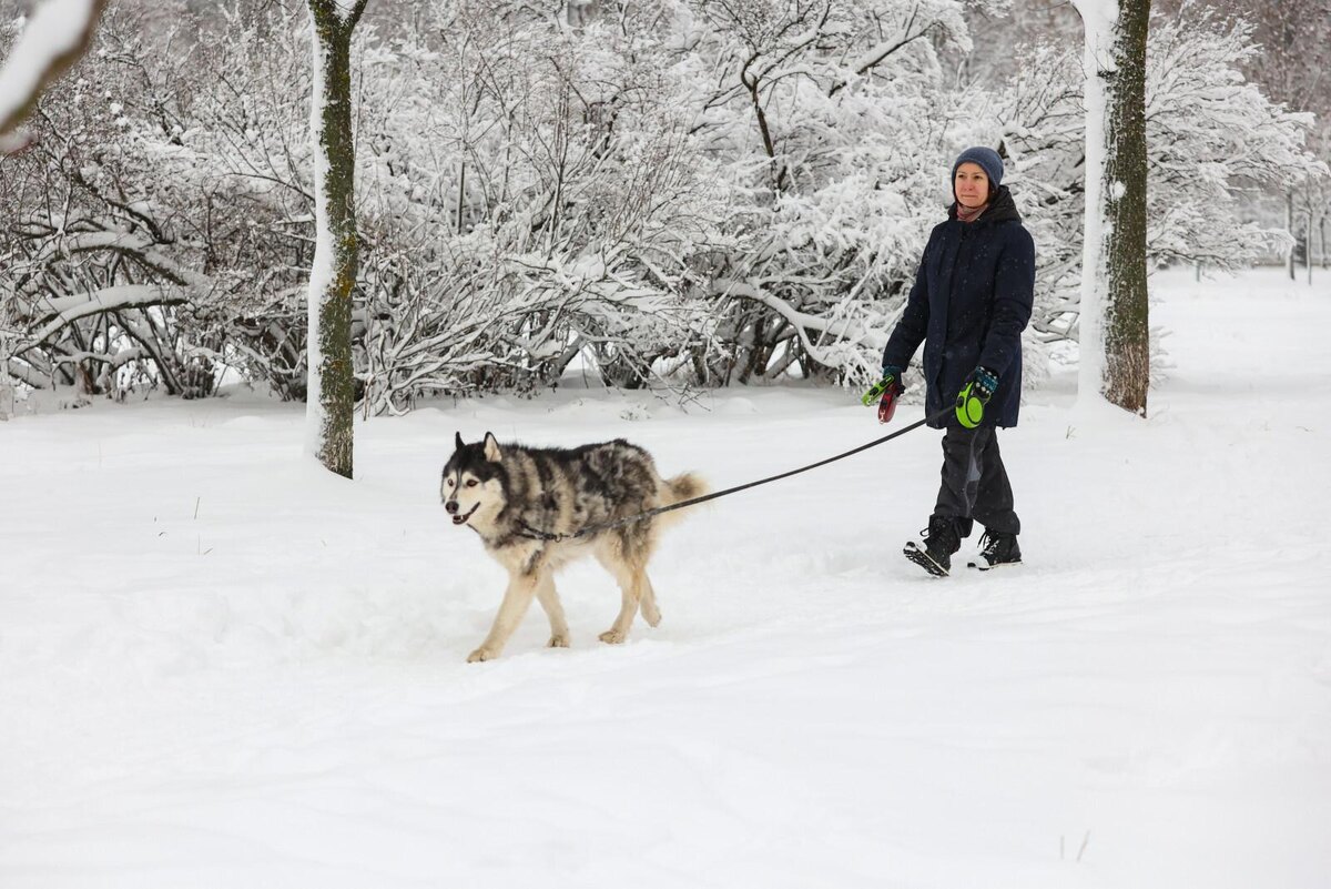 Фото: Дмитрий Фуфаев / «Петербургский дневник»