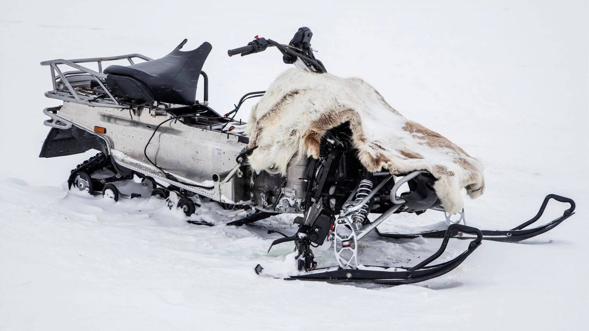    Фото: evgenii mitroshin/Shutterstock/Fotodom