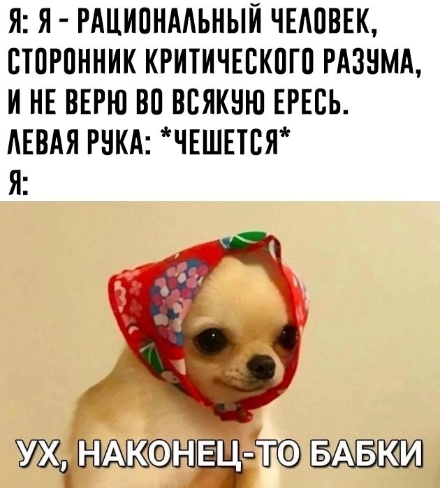 Смех из социальных сетей! Забавные шутки, забавные случаи и веселые рассказы. Фото взято из общедоступных ресурсов соцсетей.