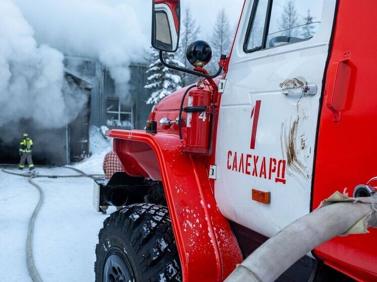     Фото: Александр Чирва/«Ямал-Медиа»