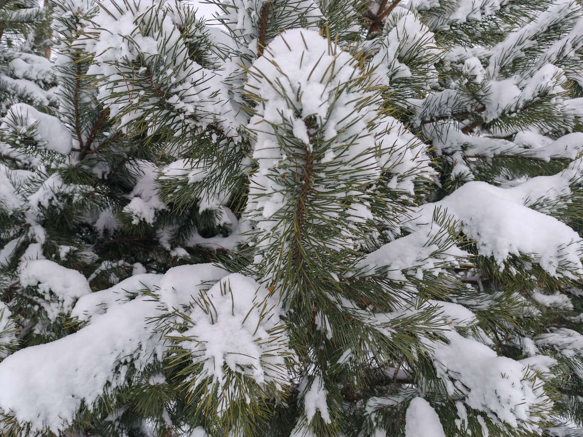 Будьте счастливы! 