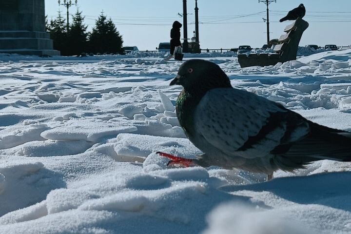    Фото:Виктория Андреева