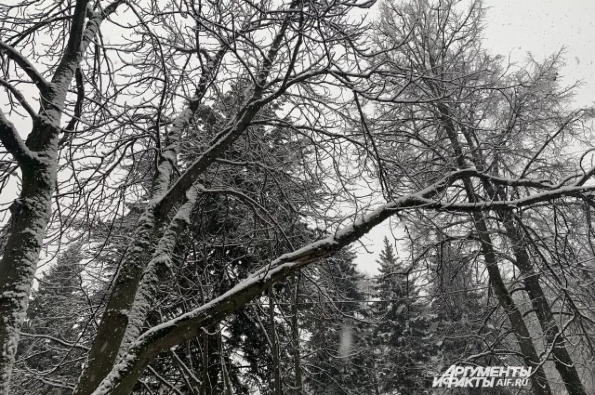    В последние дни новогодних выходных в Воронеж придет похолодание