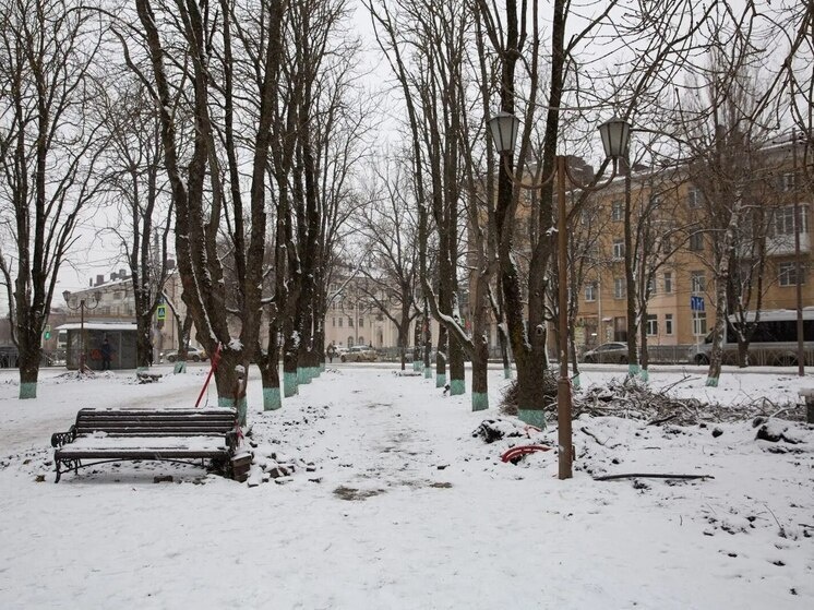     фото:администрация ставрополя