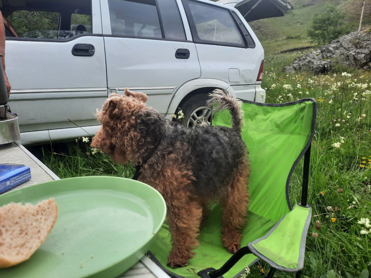 Медвежий угол. 