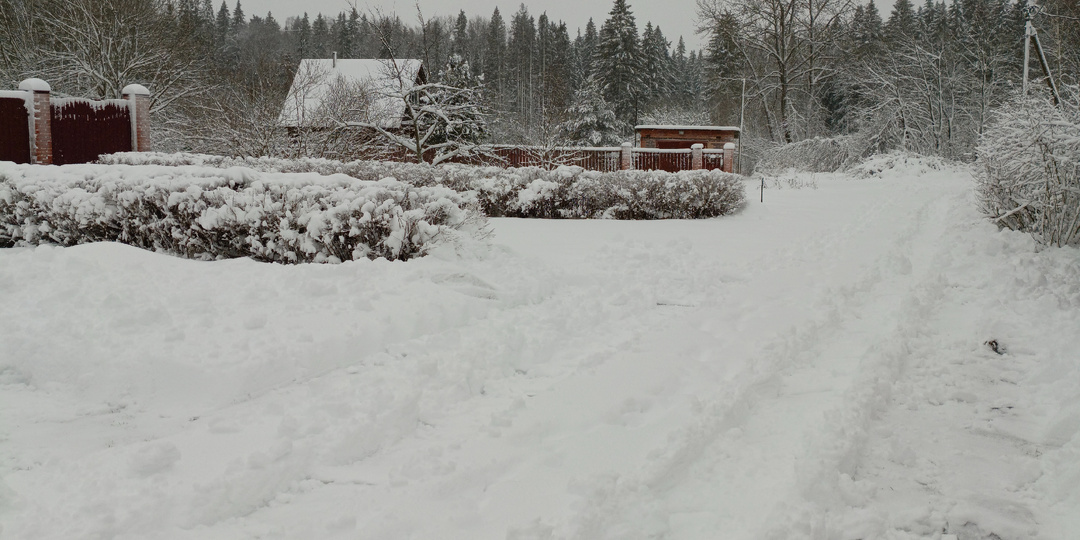 Новогодние праздники