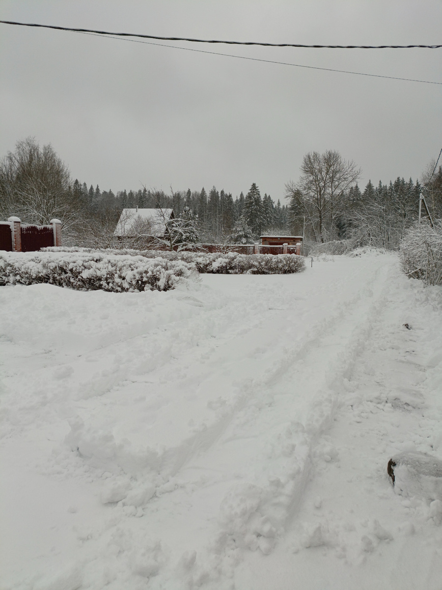 В деревне. Фото автора