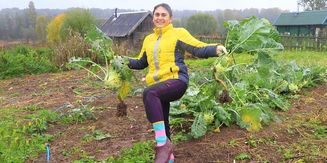 Родственники мужа привыкли приезжать к нам на дачу «на всё готовое». В этот раз я сказала: «Кто не копает картошку, тот не ест шашлык»