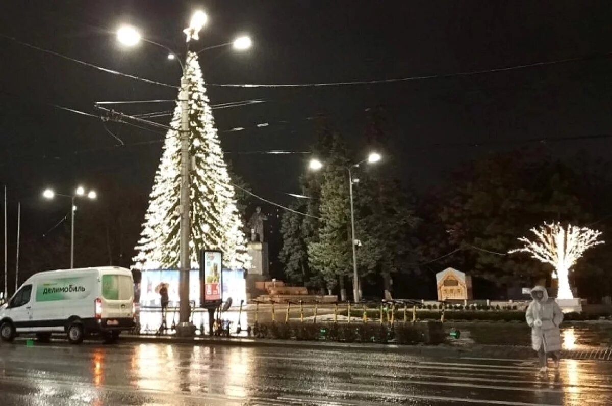    Восемь пунктов приёма новогодних деревьев будут работать в Ростове