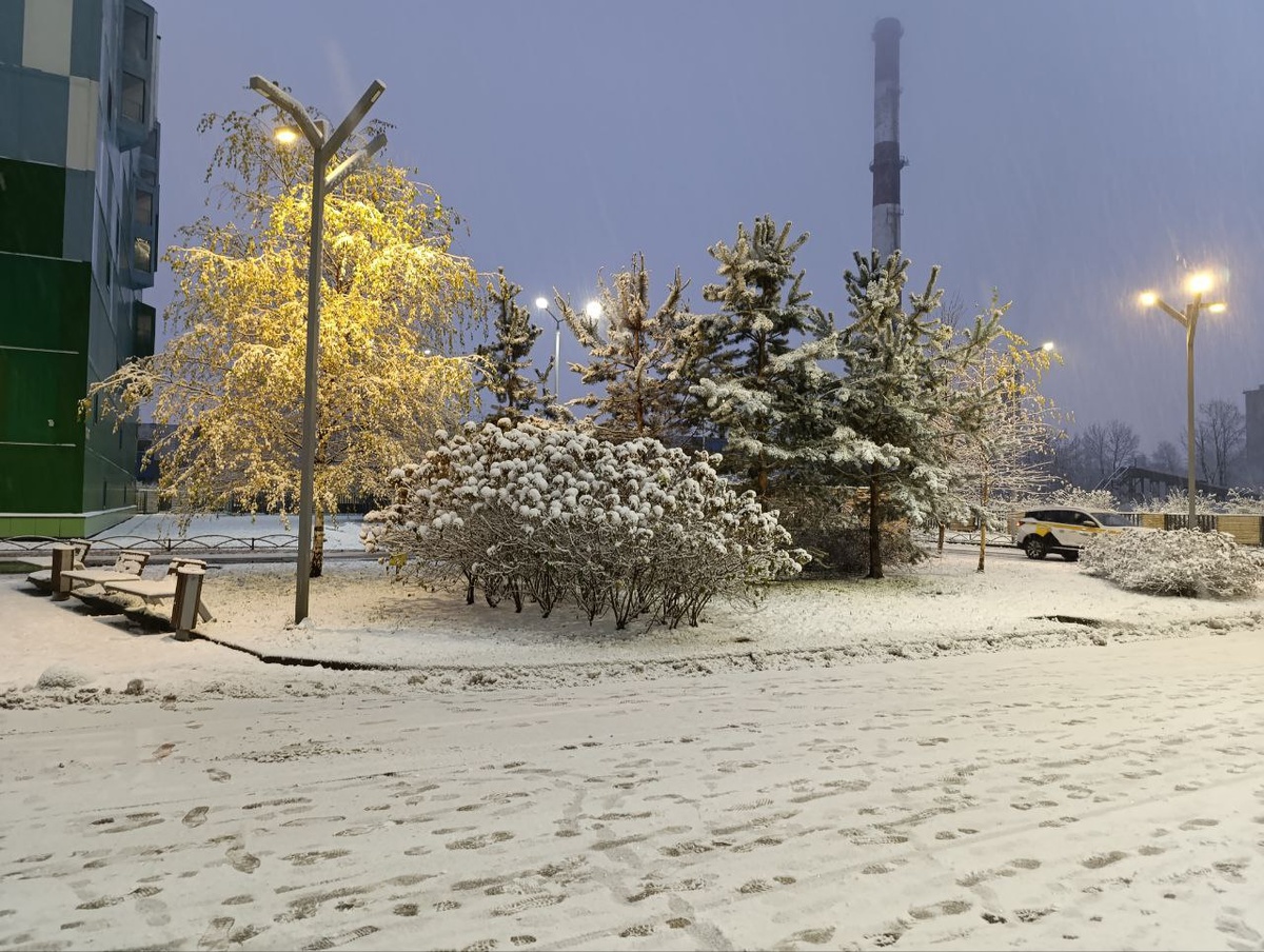 © Форпост Северо-Запад / Алиса Иняхина