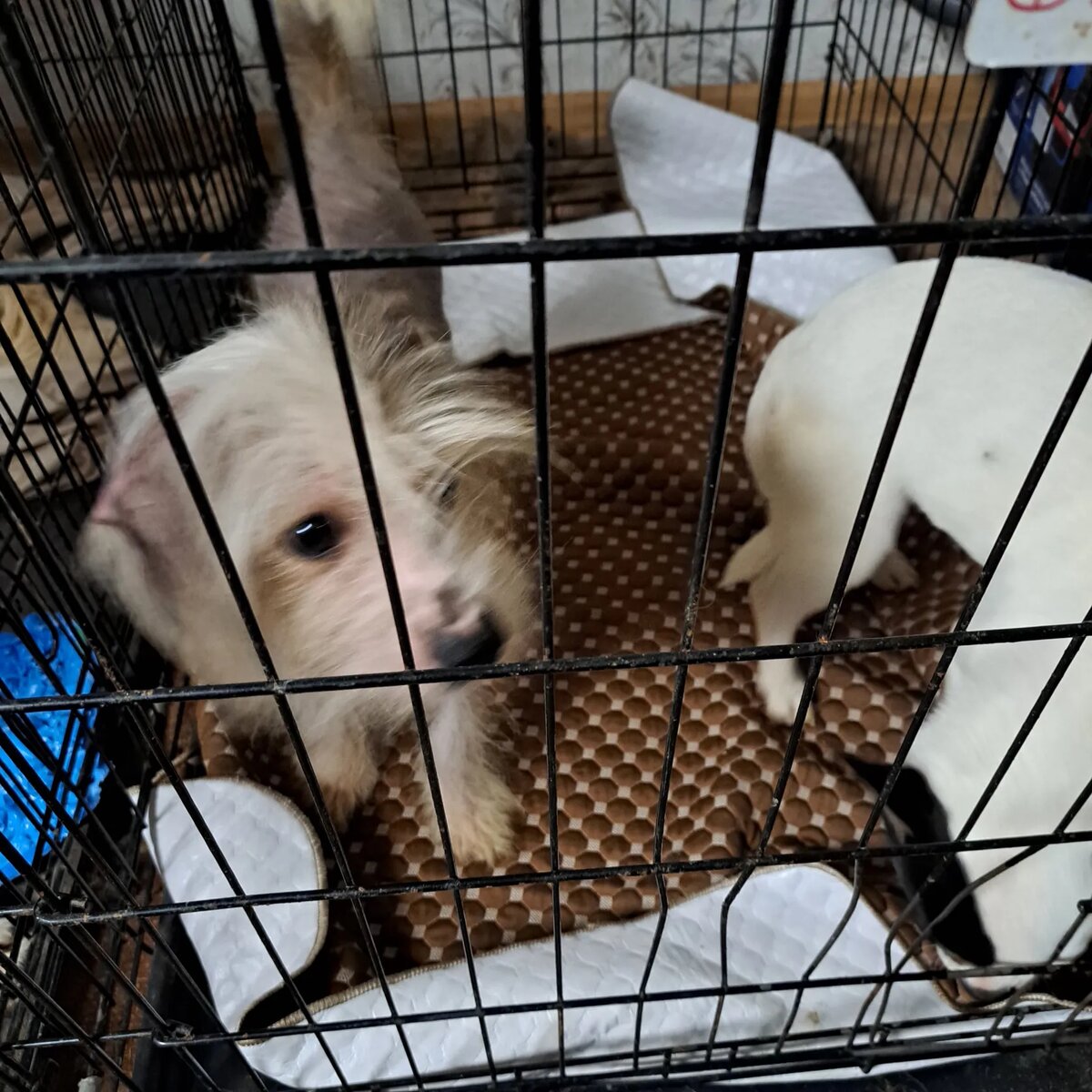 После помывки перед отправкой в Санкт-Петерург