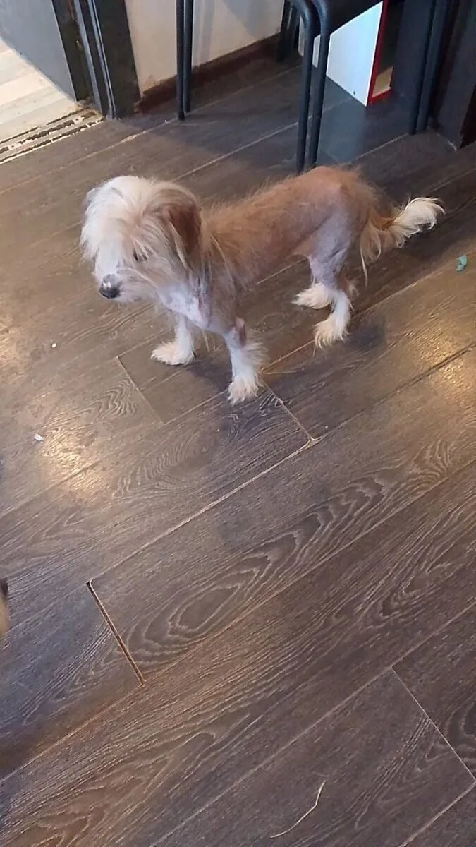 Эва изучает новое место жительства