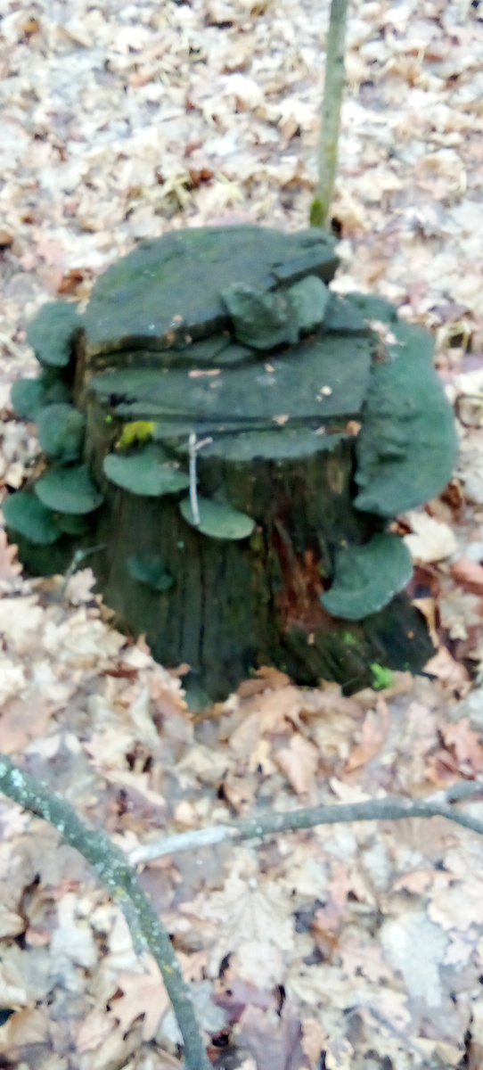 Фото Ирины Конновой