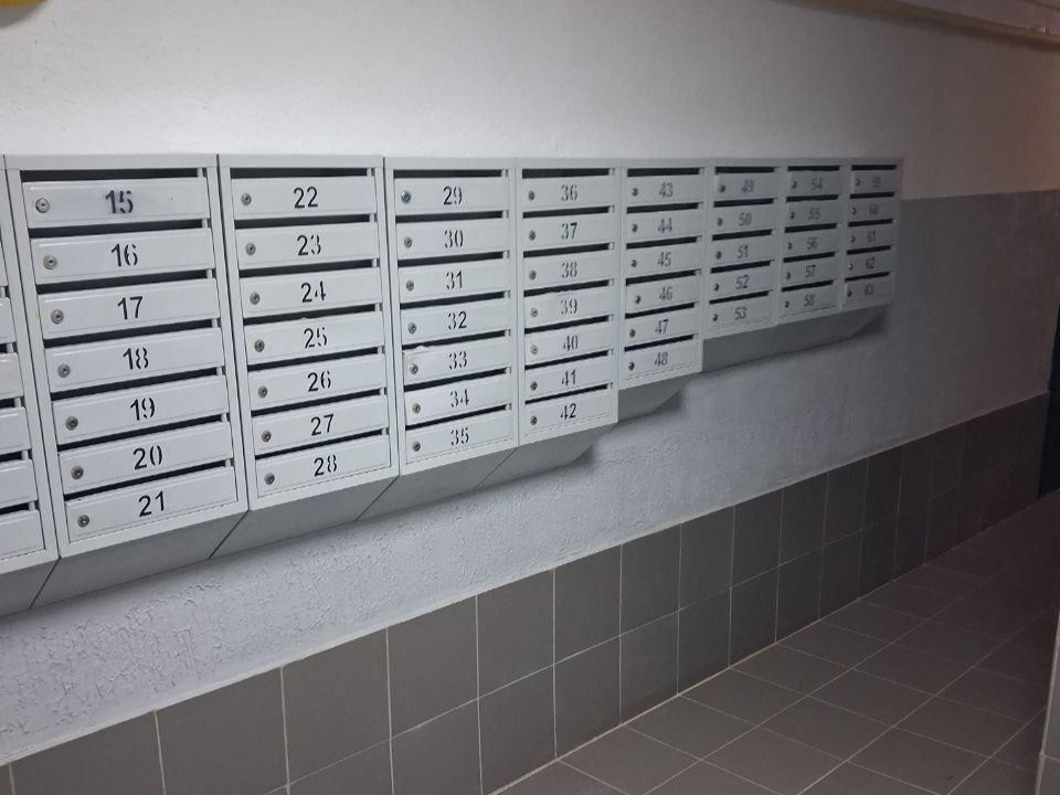    Фото: Администрация Балашихи