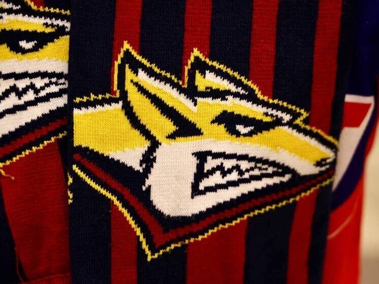     Фото: Юлия Боровикова (Вечерний Челябинск)