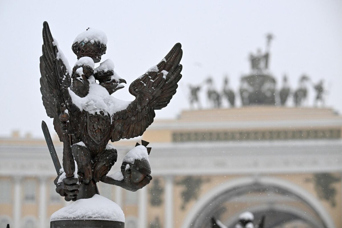 Фото: Александр Гальперин / «Петербургский дневник»