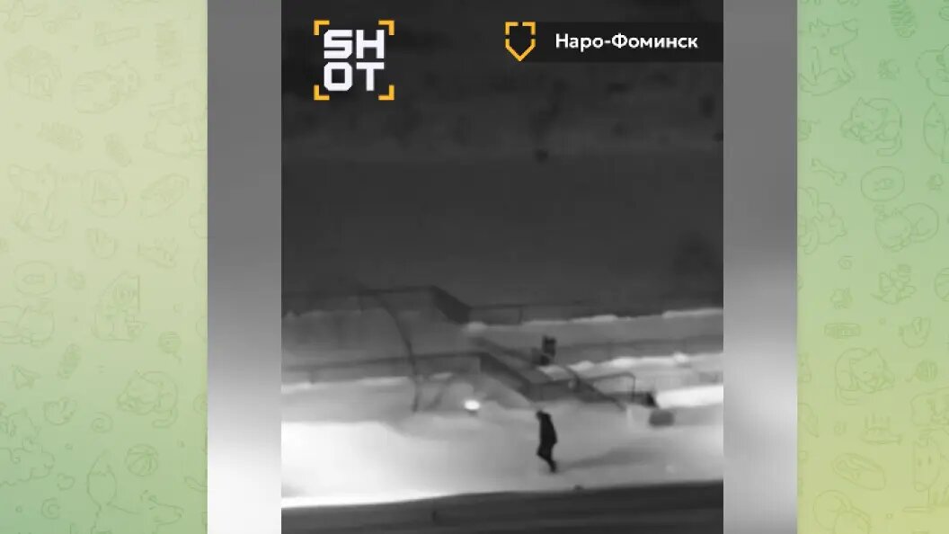    Фото: тг-канал SHOT.