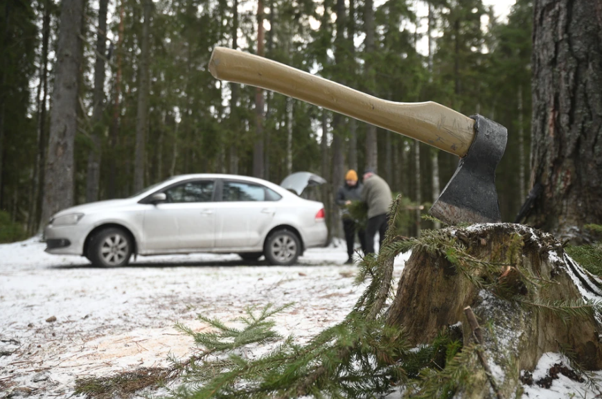 Фото: Алексей БУЛАТОВ


