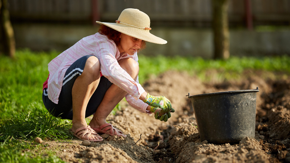 Точные расстояния - залог успешного урожая