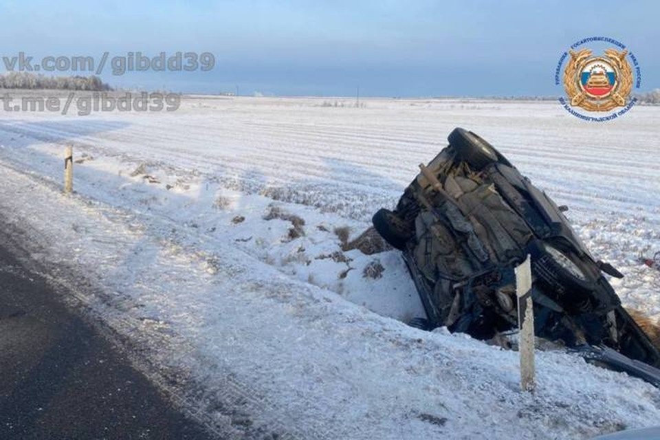   Иномарка не удержалась в пределах проезжей части. УГИБДД Калининградской области