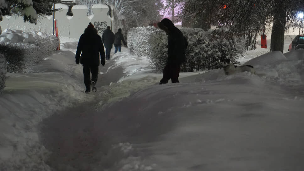 Фото: Андрей Репин / Коммерсантъ