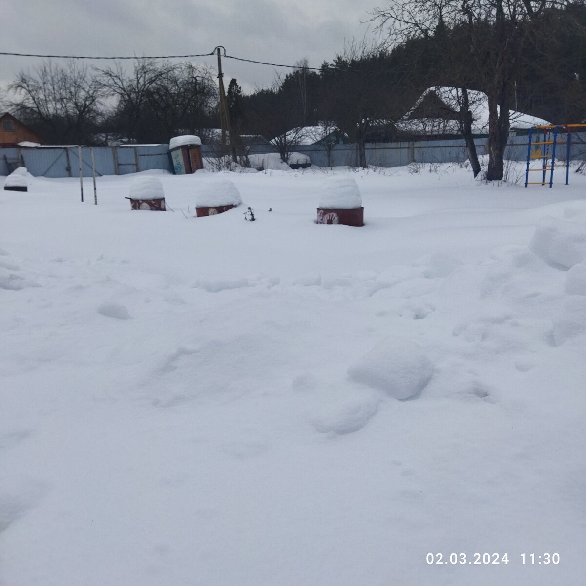 2 марта 2024 года 