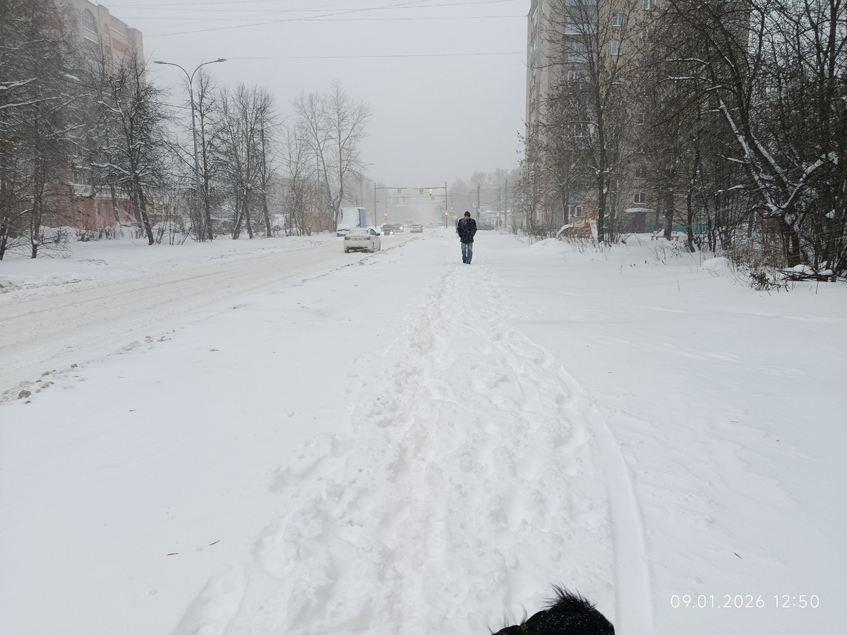 Хотели дойти до леса, воооон там, вдалеке. Передумали