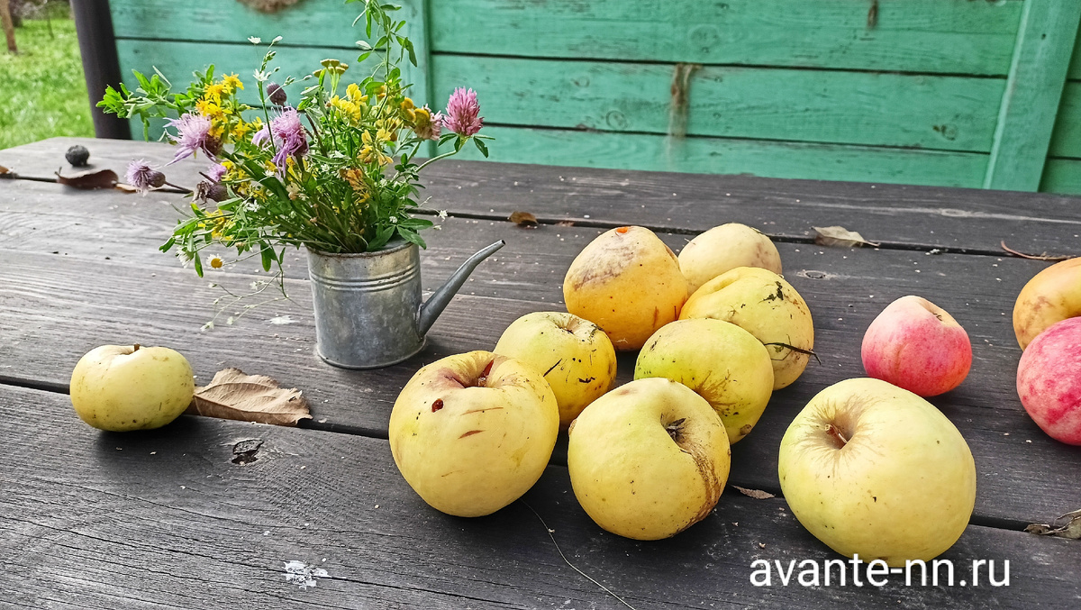 Нижегородская область 