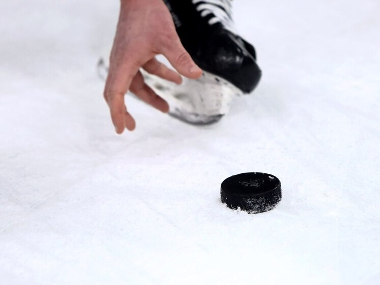     Фото: МК в Ленобласти/Дарья Иванова.